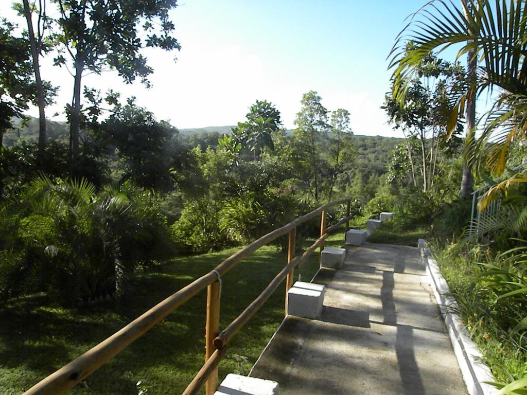 Vila Bush Baby Glen Hazyview Exteriér fotografie