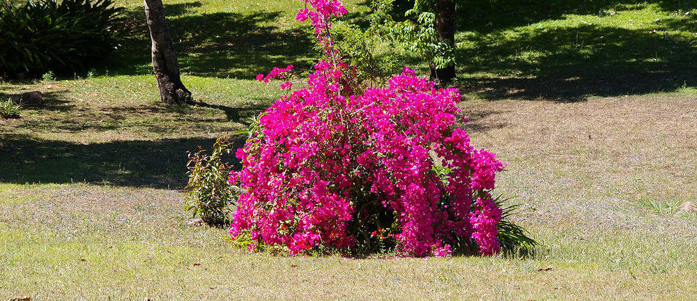 Vila Bush Baby Glen Hazyview Exteriér fotografie